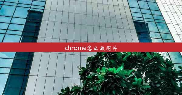 chrome怎么放图片