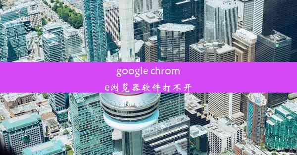 google chrome浏览器软件打不开