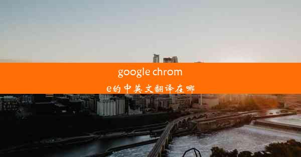 google chrome的中英文翻译在哪