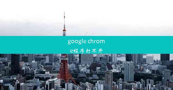 google chrome程序打不开