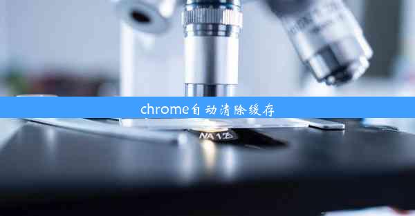 chrome自动清除缓存