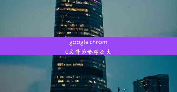 google chrome文件为啥那么大