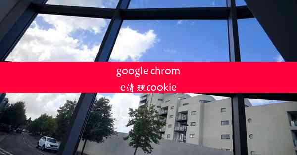 google chrome清理cookie