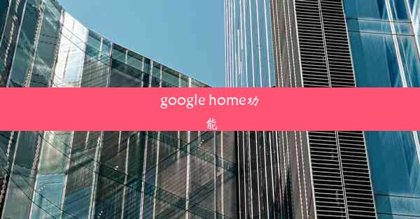 google home功能