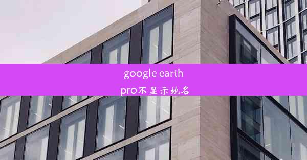 google earth pro不显示地名