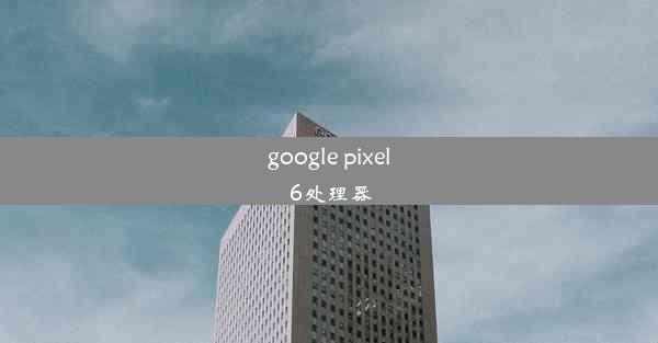 google pixel 6处理器