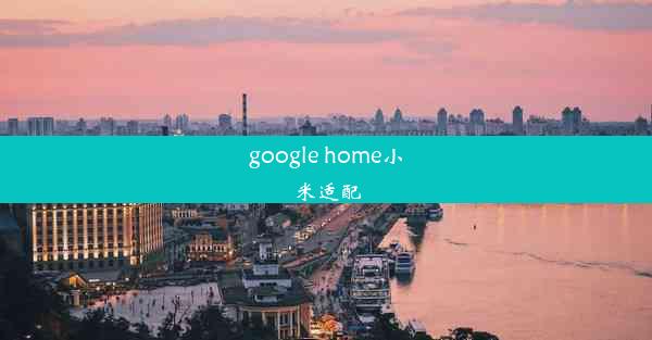 google home小米适配