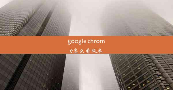 google chrome怎么看版本