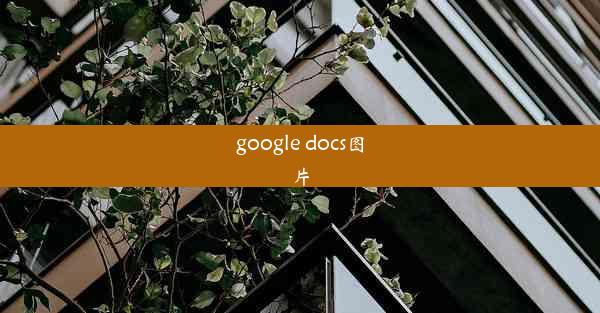 google docs图片