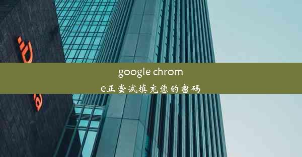 google chrome正尝试填充您的密码