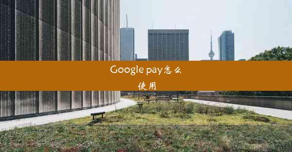 Google pay怎么使用