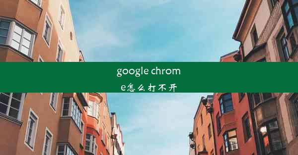 google chrome怎么打不开