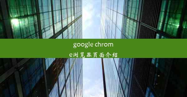 google chrome浏览器页面介绍