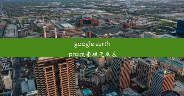 google earth pro搜索框无反应