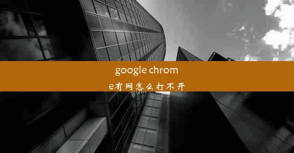 google chrome有网怎么打不开