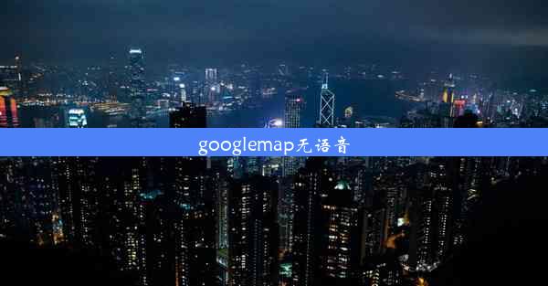 googlemap无语音