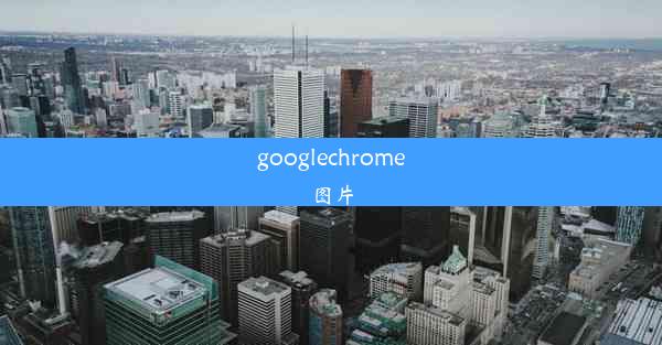 googlechrome图片