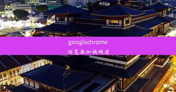 googlechrome浏览器加快网速