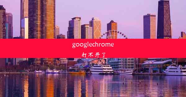 googlechrome打不开了