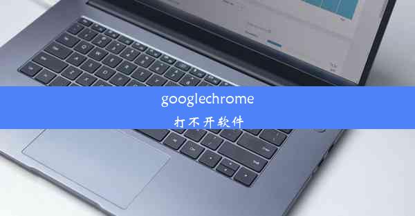 googlechrome打不开软件