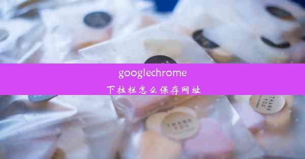 googlechrome下拉栏怎么保存网址