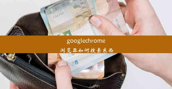 googlechrome浏览器如何搜索东西