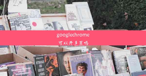 googlechrome可以开多页吗