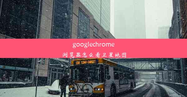 googlechrome浏览器怎么看卫星地图