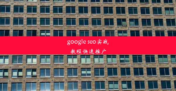 google seo实战教程快速推广