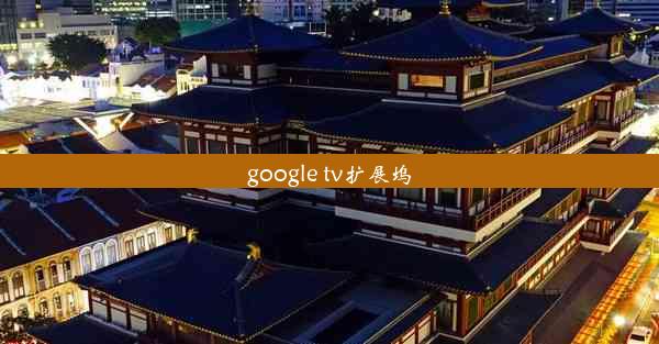 google tv扩展坞