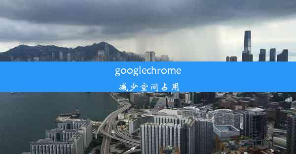 googlechrome减少空间占用