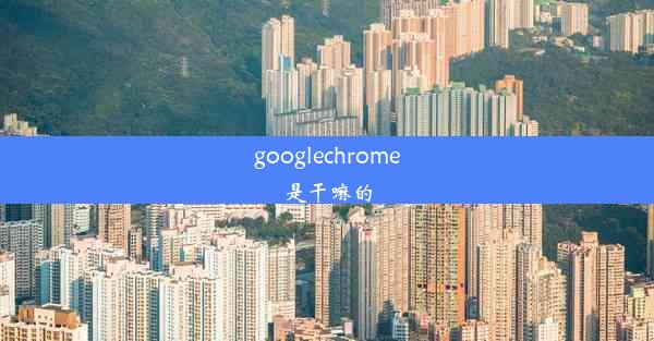 googlechrome是干嘛的